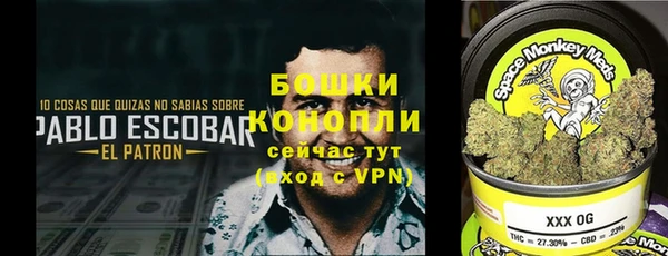 меф Богородицк