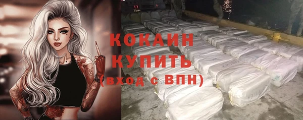 меф Богородицк