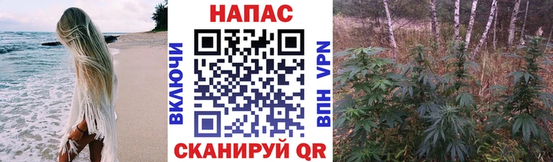 Конопля AK-47  Выборг 